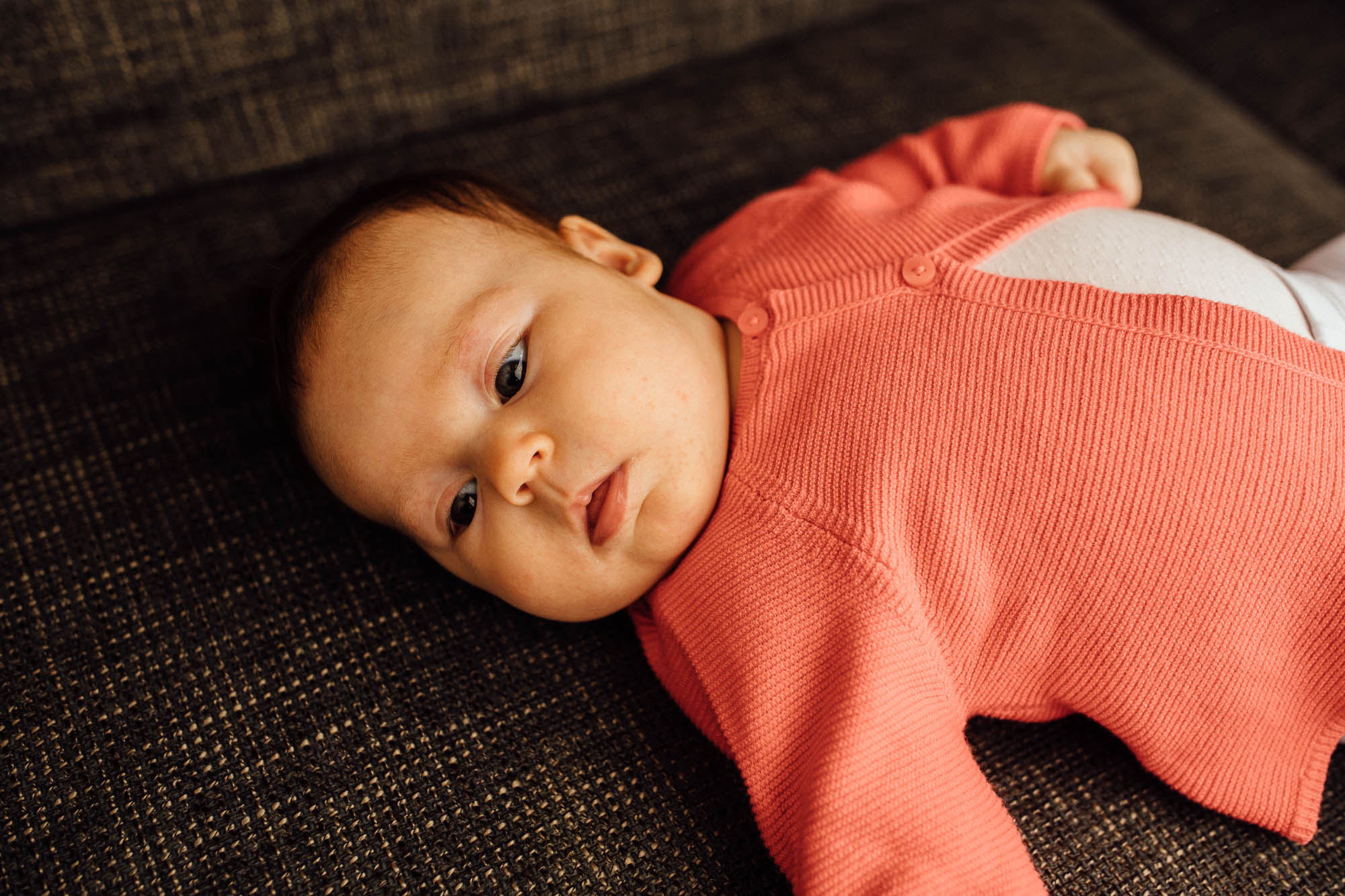 Export x3 5D4 0449 Familyfotoshooting 2020 Rossbach